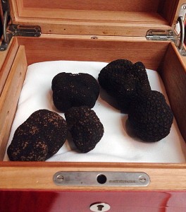 Australian black winter truffles